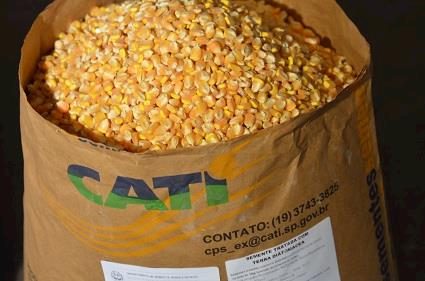 Cati antecipa venda de grãos a produtores afetados pela greve