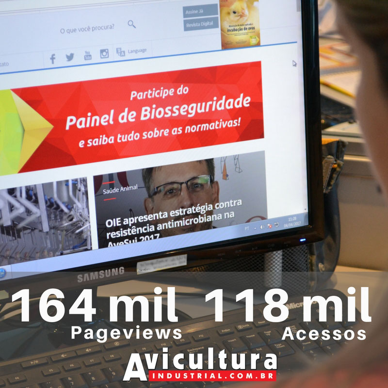 Portal Avicultura Industrial alcança mais de 115 mil acessos e pageviews em apenas um mês