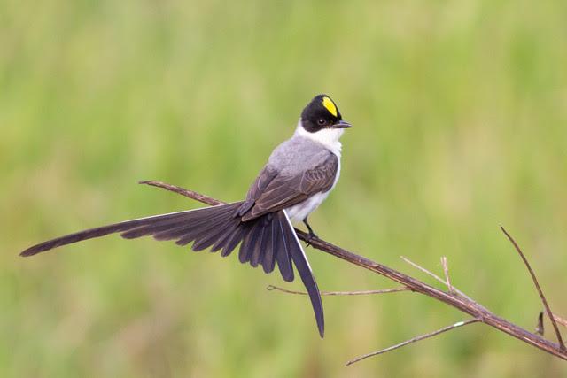 Quando a chuva chega ao sertão!