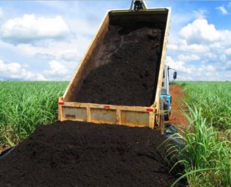 Agência de São Paulo desenvolve modelo piloto para reaproveitar dejetos de suínos