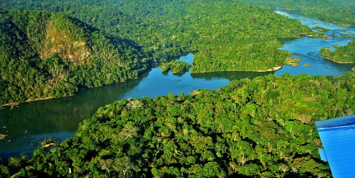 Lula oferecerá o Brasil para sediar futura cúpula do clima