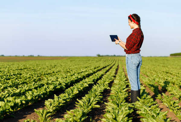 As mulheres e Einstein