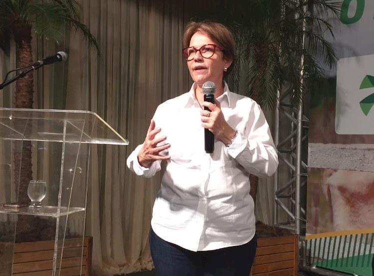 Habilitação de novos frigoríficos à China deve demorar mais, afirma ministra