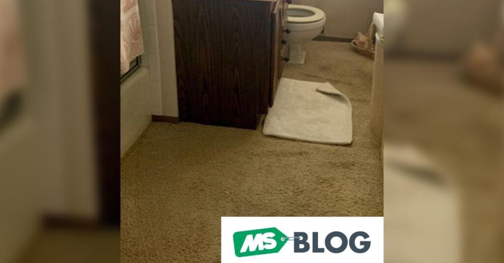 Você usa carpete no banheiro? E na granja?