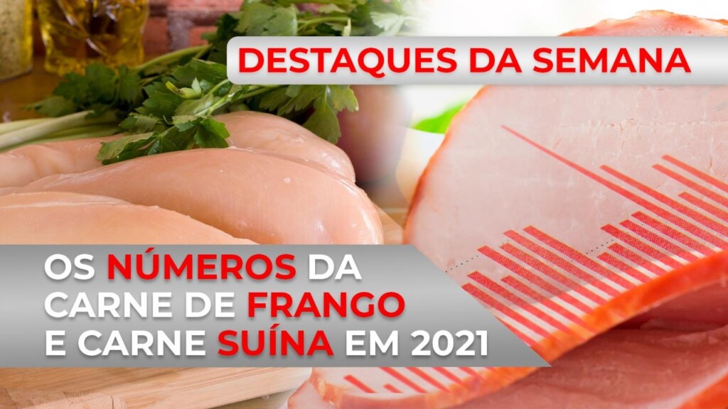 DESTAQUES – Os números da carne de frango e da carne suína em 2021