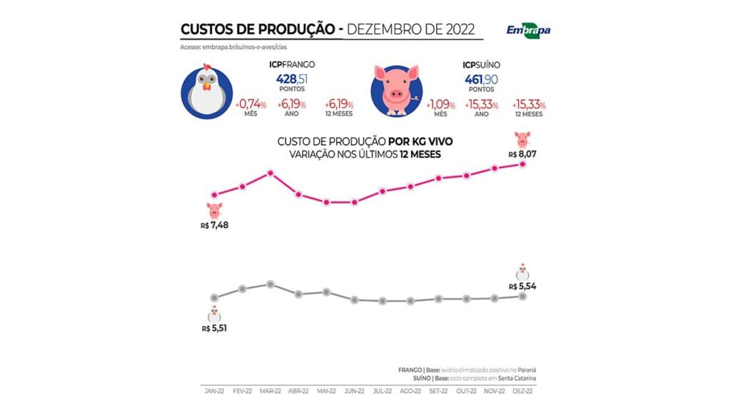 Custo de produção de suínos encerra 2022 ultrapassando os R$ 8 por quilo vivo