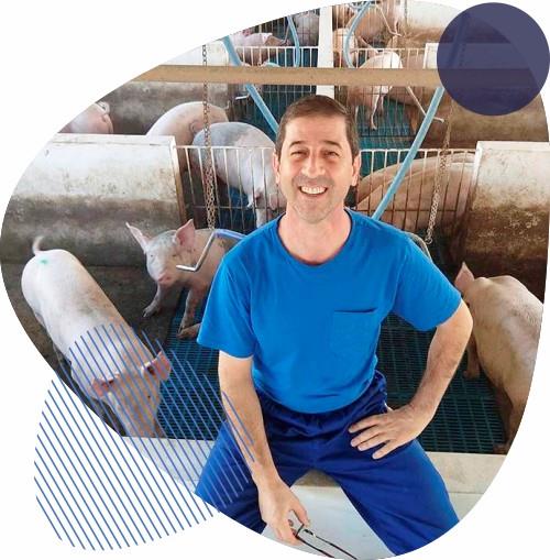 Consultor explica o que muda nas granjas com a IN 113, que trata do bem-estar animal