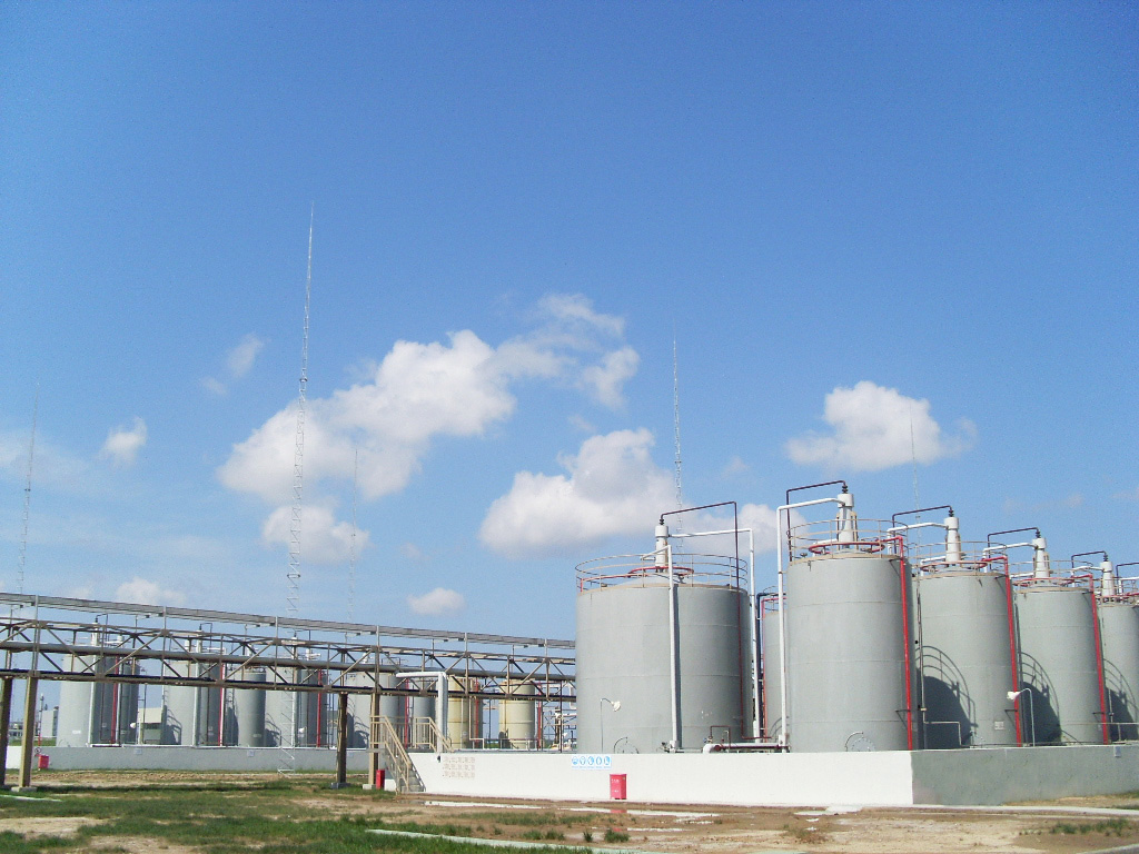 Chinesa Hegno apresenta soluções para nutrição animal