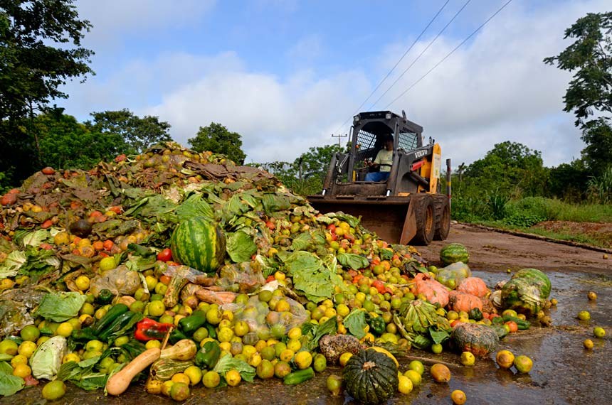 Comissão de Agricultura trabalha lei para reduzir desperdício de alimentos