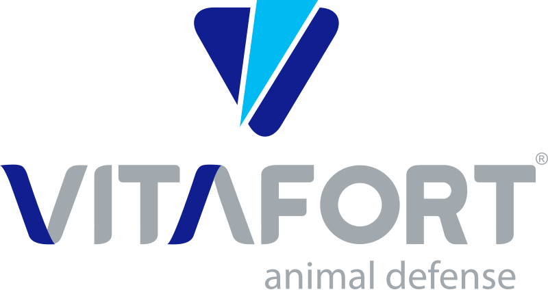 Vitafort anuncia nova coordenadora Técnica Comercial