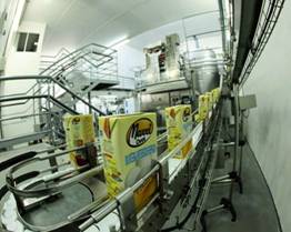 MaxxiOvos comemora 78 anos da produção artesanal à tecnologia