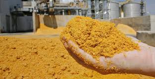 Produção de etanol de milho se firma no país; DDG também cresce