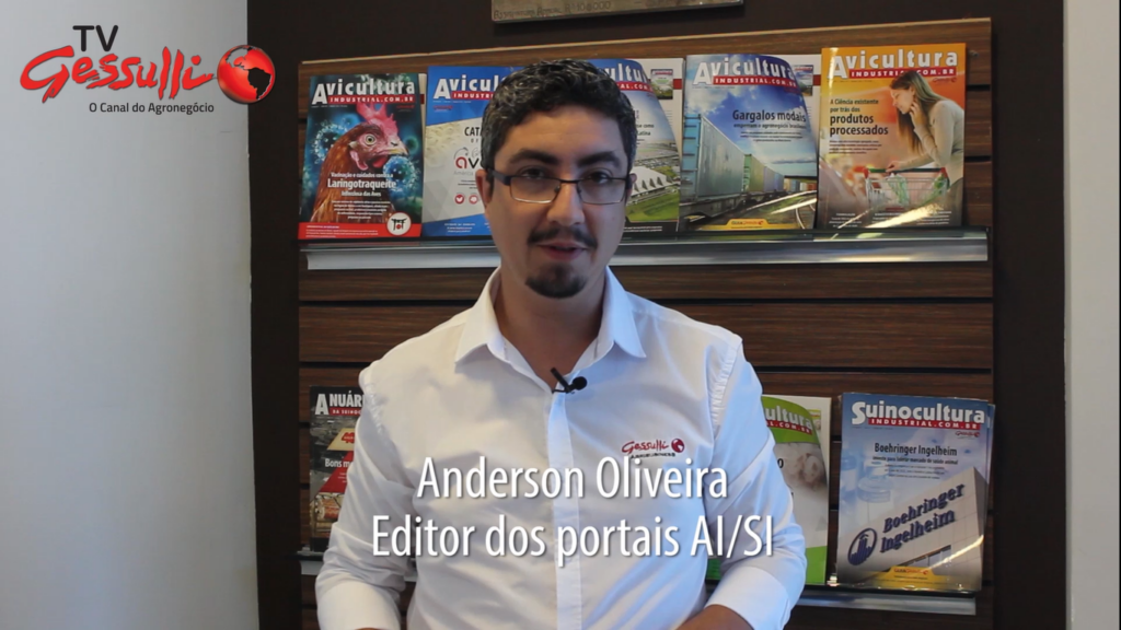 DESTAQUES – Melhoras nas exportações e nos custos dos produtores de suínos