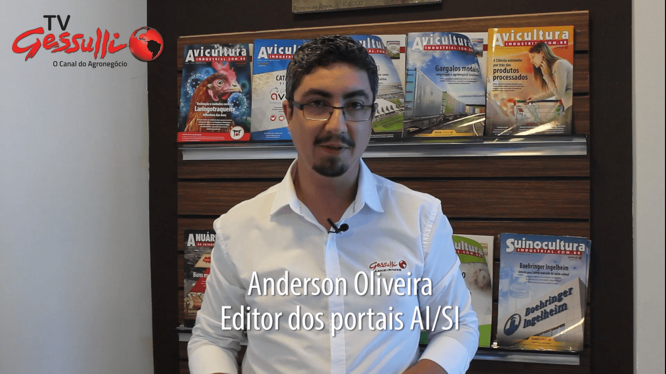 DESTAQUES – Melhoras nas exportações e nos custos dos produtores de suínos