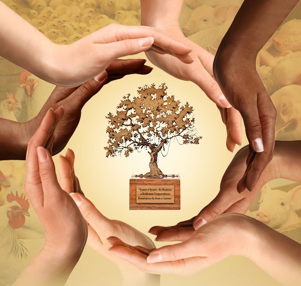 Cooperativismo para a construção de uma sociedade mais justa