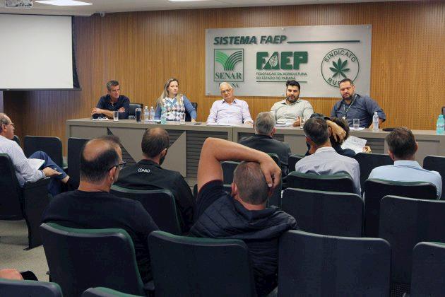 Faep prevê aumento de 6% na produção de suínos no Brasil em 2019