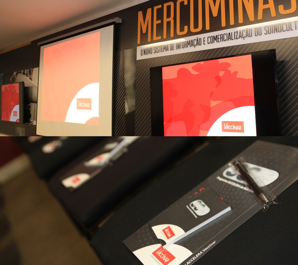 Vaccinar lança programa nutricional Accelera para potencializa resultados na suinocultura