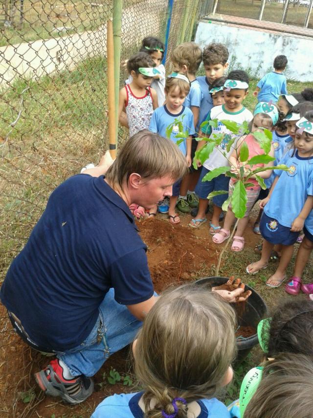 Árvores: conhecer, preservar, utilizar