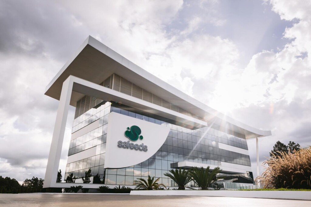 Reconhecida pelos colaboradores, Safeeds recebe selo Great Place To Work