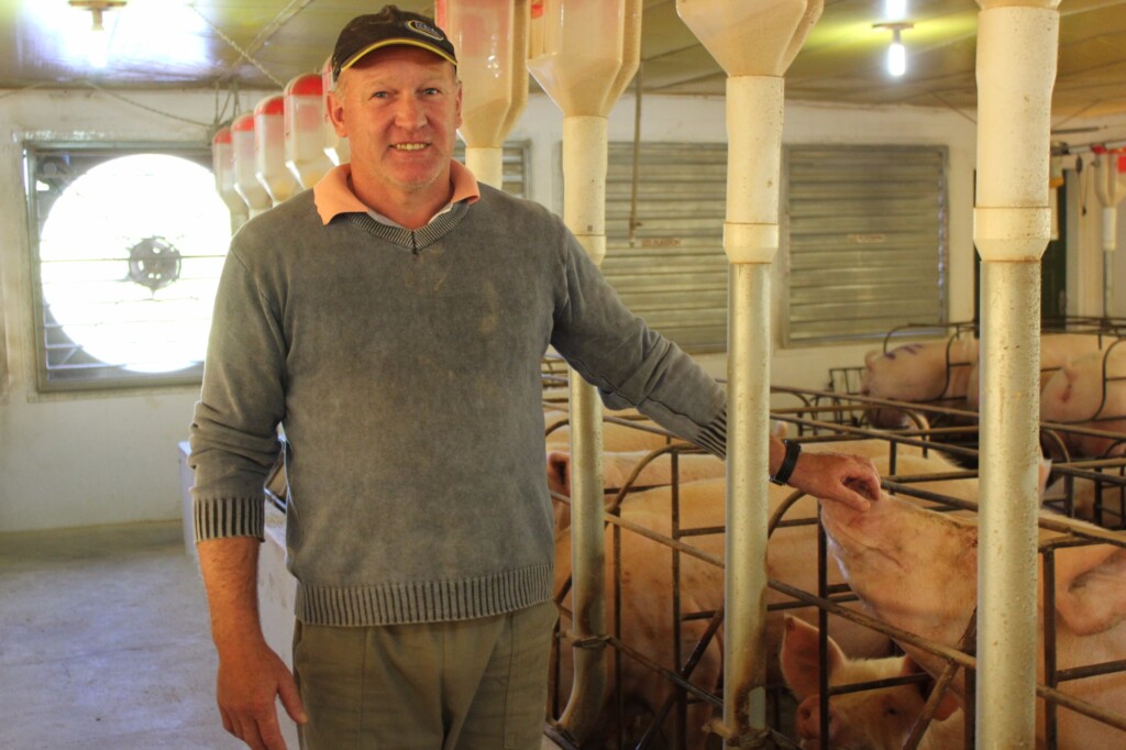 Plasson investe em suinocultura mirando conquistar 25% do mercado