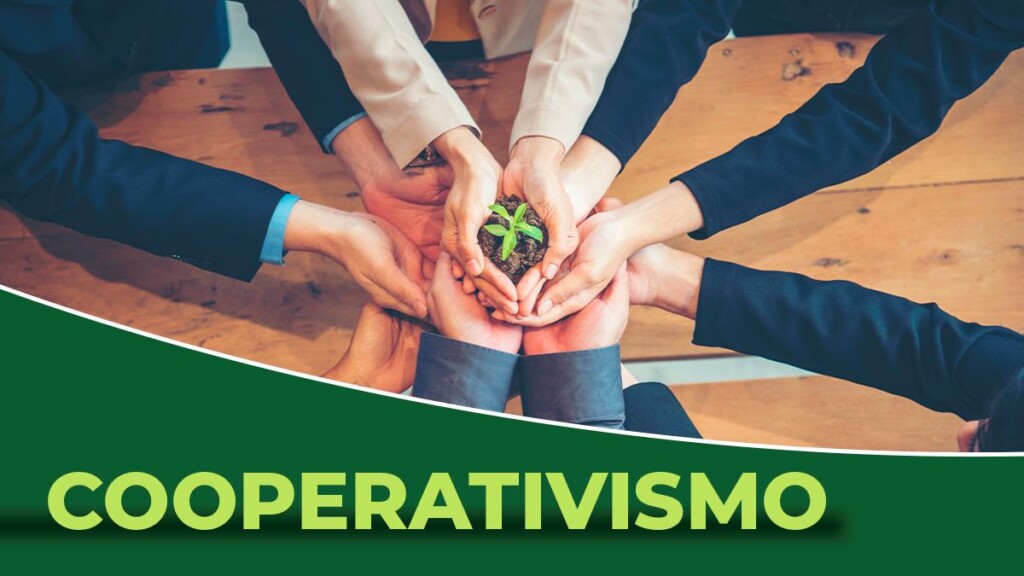 O cooperativismo traz um olhar humanístico para o mundo dos negócios