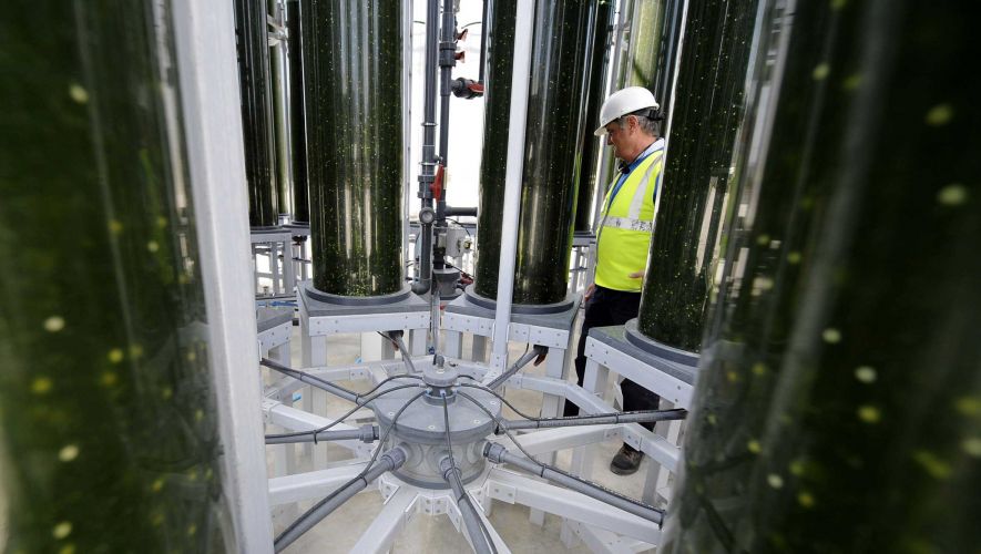 Produção industrial de biopetróleo poderá funcionar em três anos, em Portugal