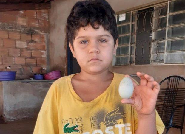 Ovo de galinha é leiloado por R$ 4 mil em Caçu (GO)