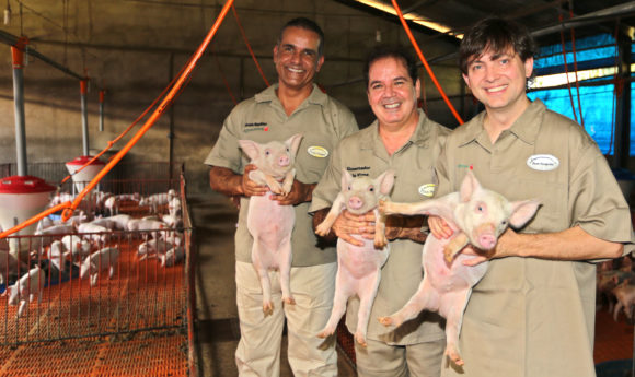 JBS sonda indústria de suínos do Acre