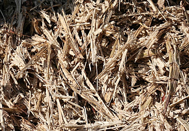 Arrancando para a Safra 2020/21