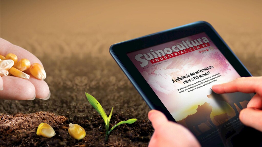 Busca por informações em portais cresce em período de quarentena