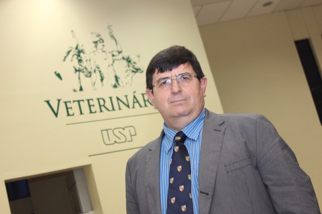 É momento de o Brasil pensar no bem-estar