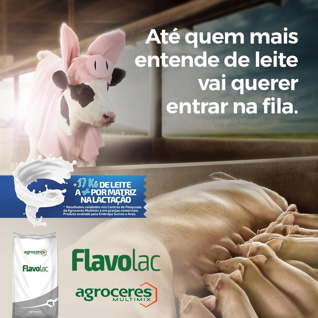 Mais leite, mais resultados