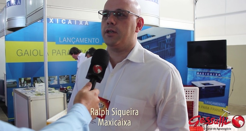 Gaiola de frango reforçada chega como diferencial no mercado