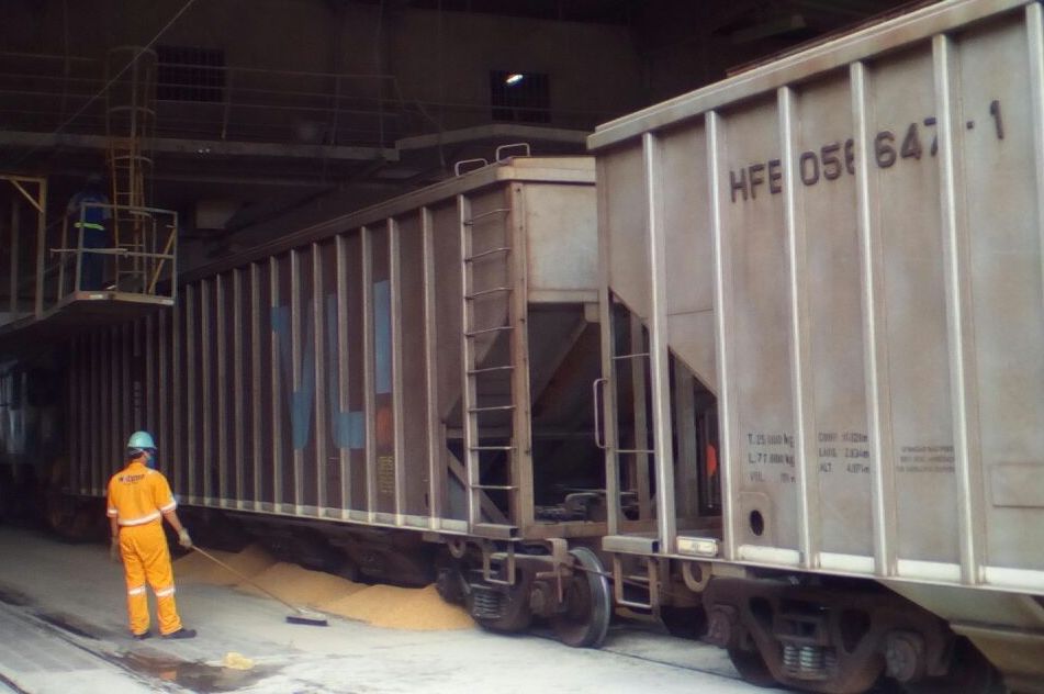 Espírito Santo realiza operações de compra de milho via transporte ferroviário