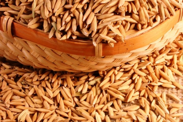 Casca de arroz vira eletricidade no Sul