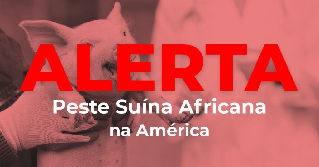 Alerta urgente sobre Peste Suína Africana na América