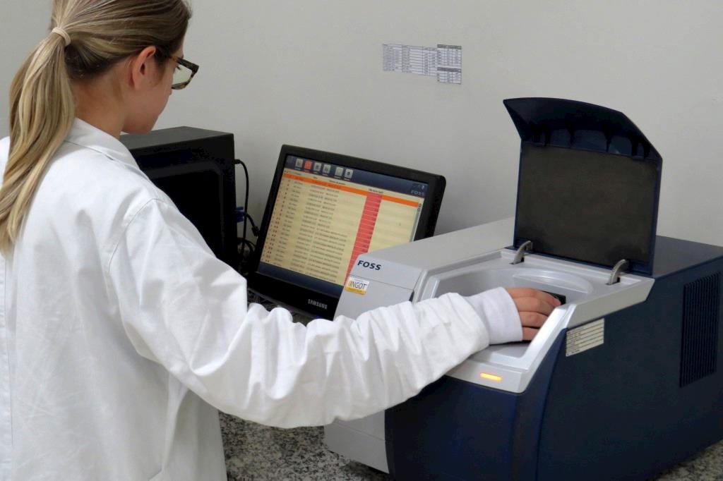 Yes lança ferramenta gratuita de monitoramento online de micotoxinas em grãos