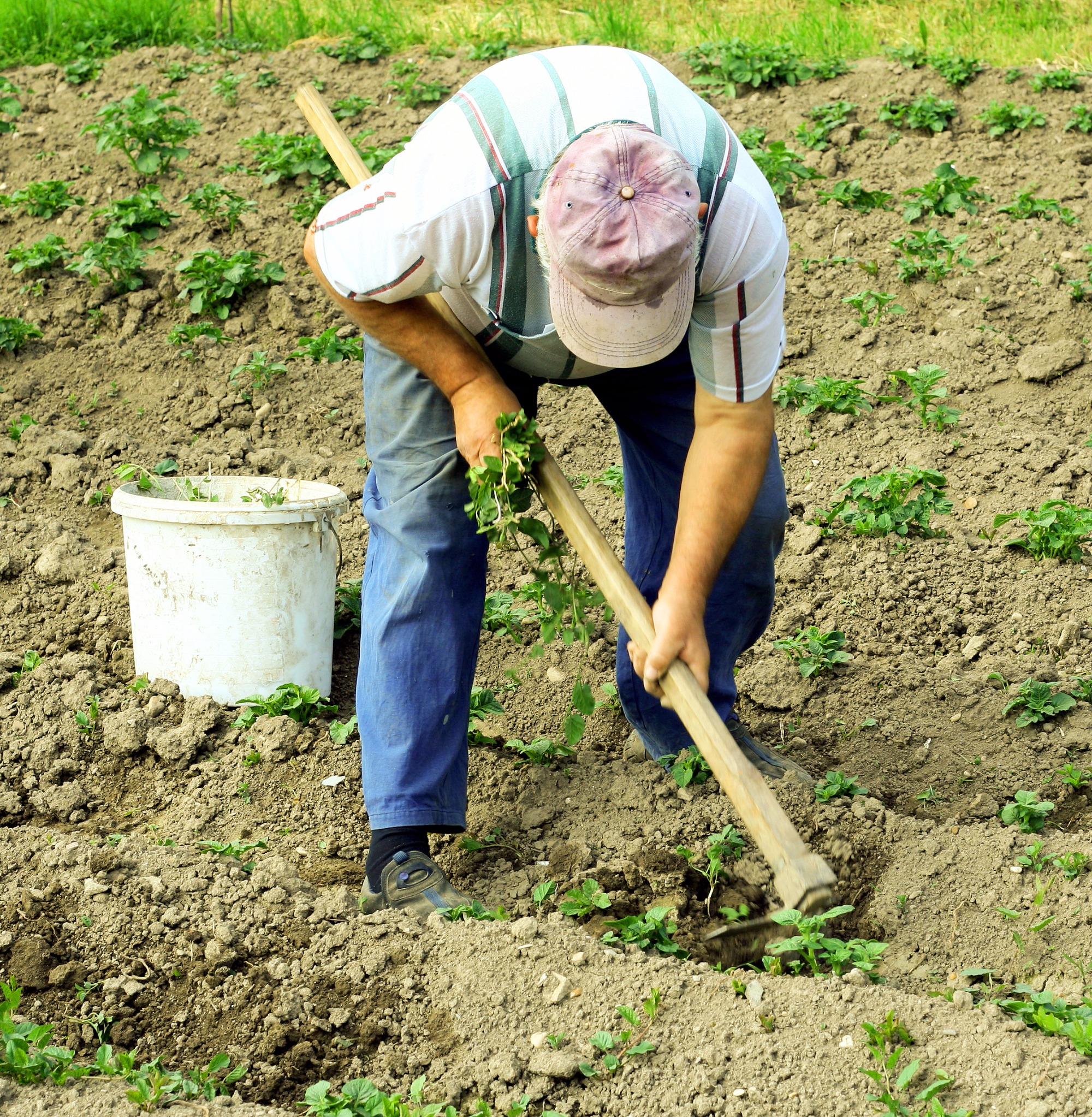 Aposentadoria rural no alvo da reforma previdenciária Aposentadoria rural no alvo da reforma previdenciária
