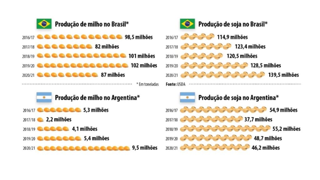 Produção de grãos impulsionam proteína animal na região Sul