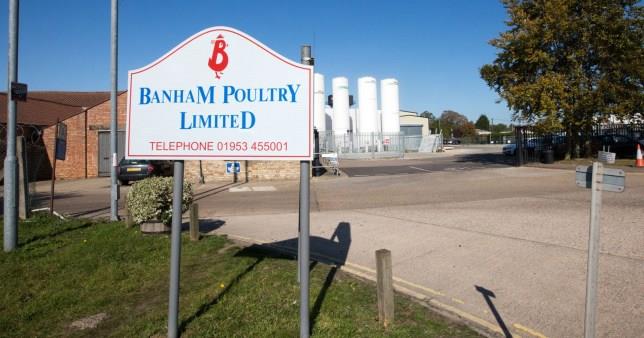 Processadora de frango Ucraniana fecha parcialmente após 75 trabalhadores testarem positivo para coronavírus