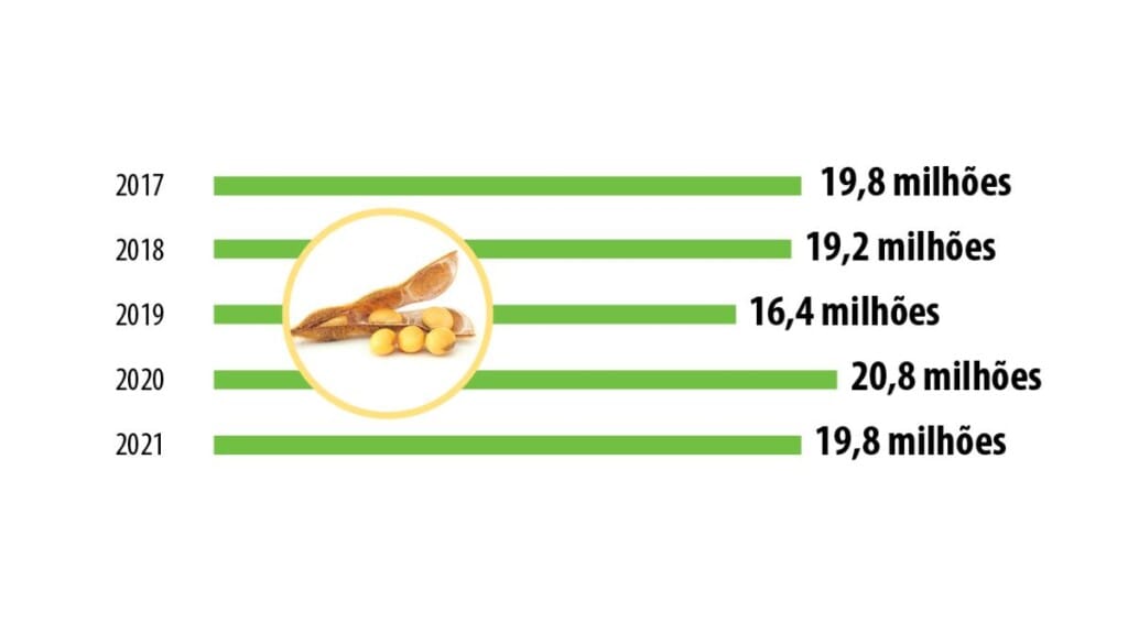 Produção de grãos impulsiona proteína animal no sul do Brasil