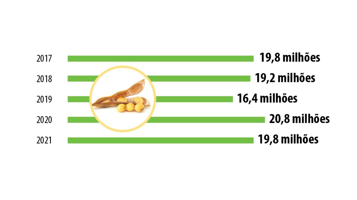 Produção de grãos impulsiona proteína animal no sul do Brasil