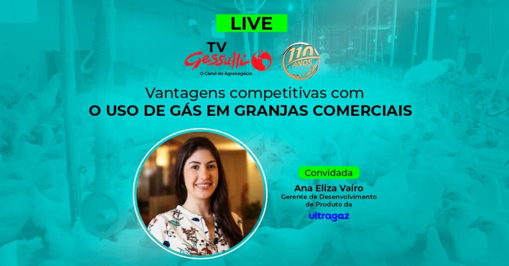 Daqui a pouco: especialista debate as vantagens competitivas do uso de gás em granjas comerciais