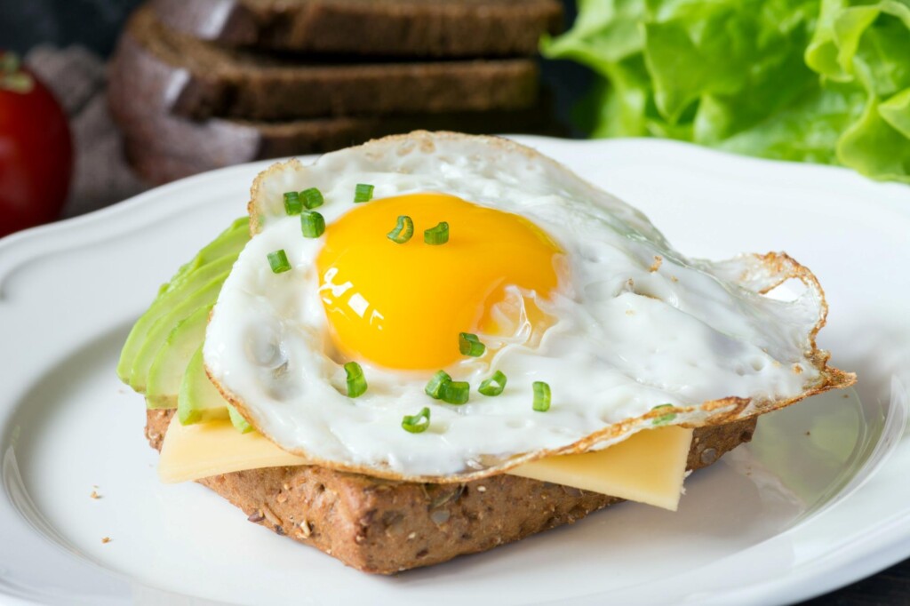 Aumento no consumo impulsionou produção brasileira de ovos nos últimos 20 anos