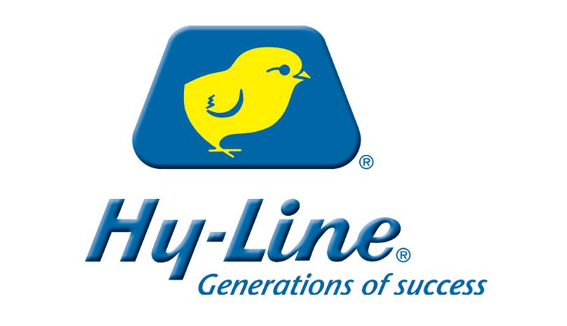 Empresa abre vaga para sanitarista