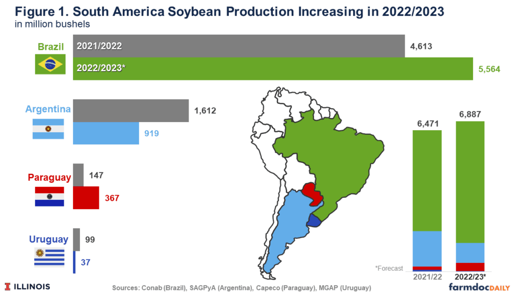 Colheitas de soja contrastam na América do Sul