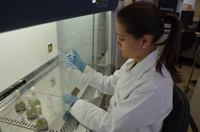 Enzimas promovem produção mais limpa de biodiesel