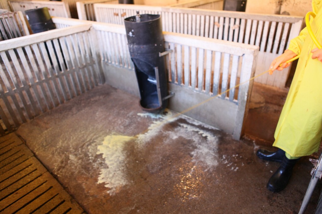 Instalações “enfermas”: a importância da limpeza e desinfecção