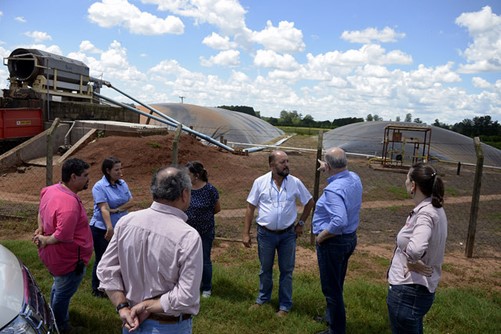 Fazenda utiliza sistema biodigestor para direcionar dejetos de suínos para produção de laranjas