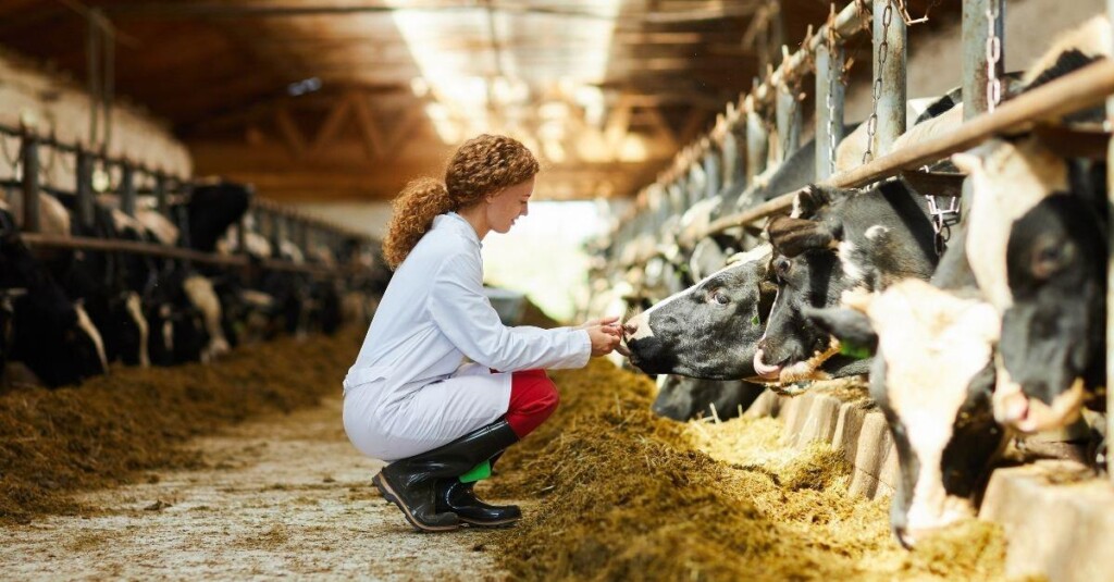 OIE conclui análise de casos atípicos de EEB